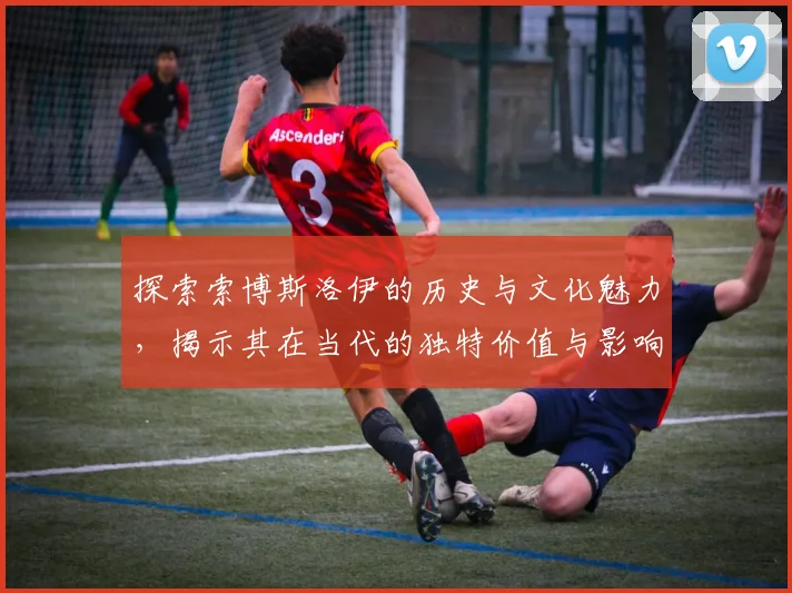 探索索博斯洛伊的历史与文化魅力，揭示其在当代的独特价值与影响力