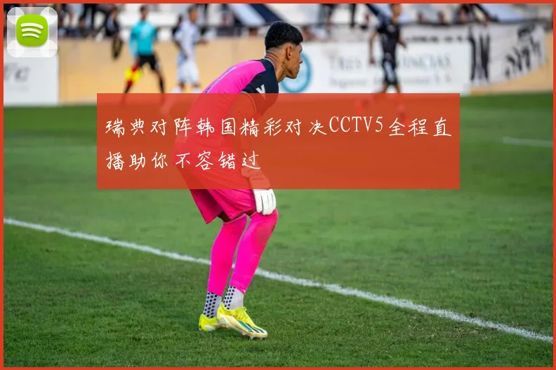 瑞典对阵韩国精彩对决CCTV5全程直播助你不容错过