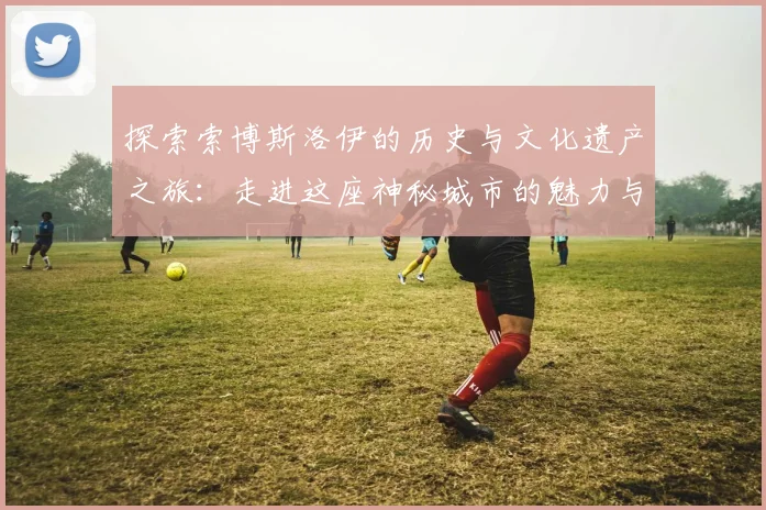 探索索博斯洛伊的历史与文化遗产之旅：走进这座神秘城市的魅力与故事